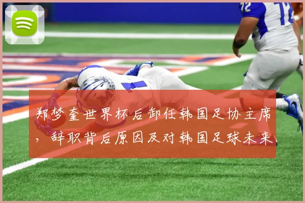 郑梦奎世界杯后卸任韩国足协主席,辞职背后原因及对韩国足球未来影响分析